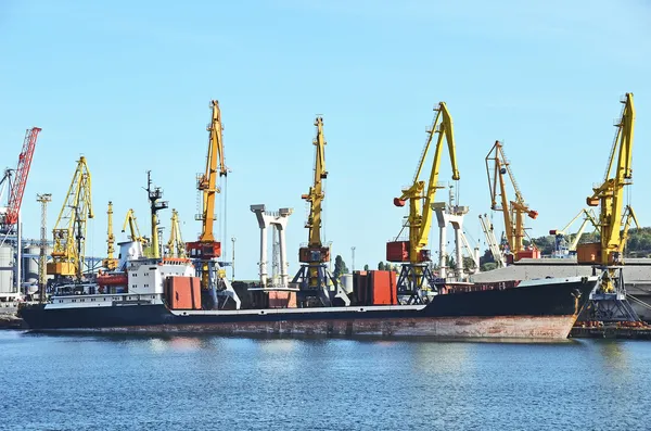 Bulk cargo ship under port crane — Stock Photo, Image