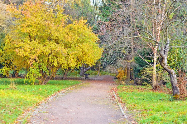 Park road at autumn — Stock Photo, Image