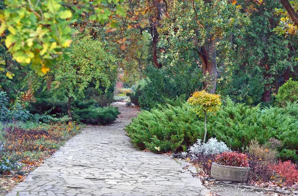 Park road at autumn — Stock Photo, Image