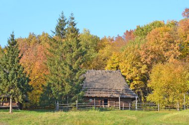 ormandaki eski carpatian hut