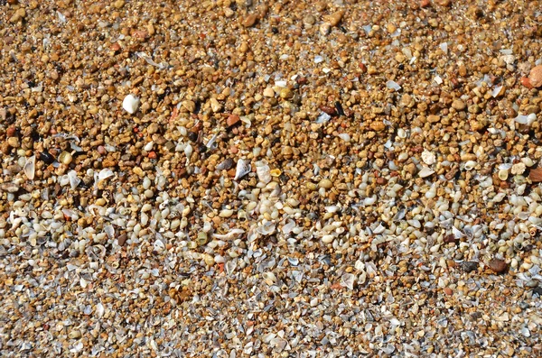 Shell e pedra de seixo fundo — Fotografia de Stock