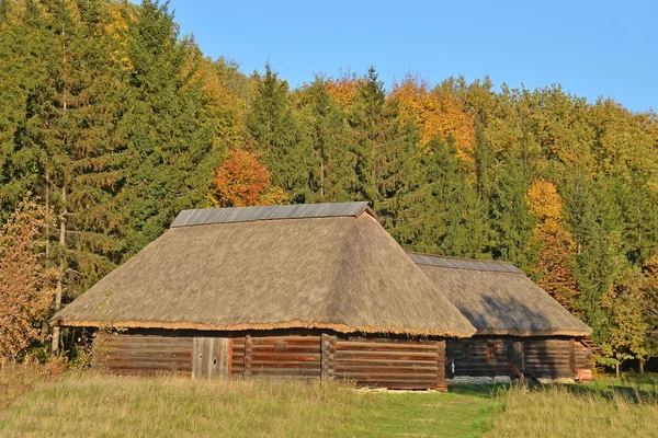 Oude hut met een stro dak — Stockfoto