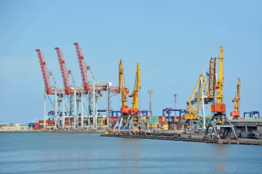 bağlantı noktası kargo vinç