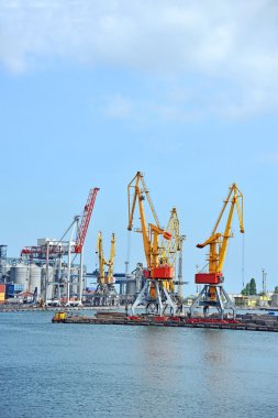 bağlantı noktası kargo vinç