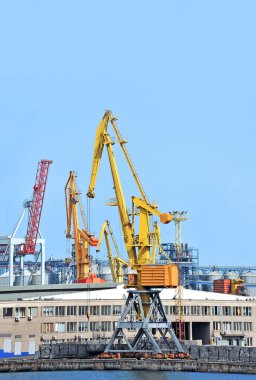 bağlantı noktası kargo vinç