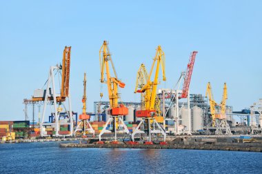 bağlantı noktası kargo vinç