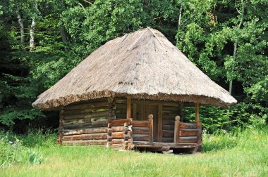 hasır çatılı antik hut