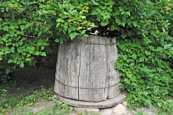 Vieux puits en bois sous viburnum — Photo