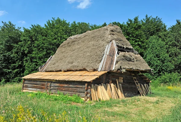 Oude hut met een stro dak — Stockfoto