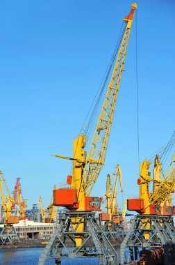 bağlantı noktası kargo vinç