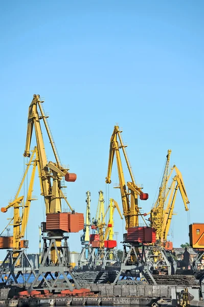 Port cargo crane — Stock Photo, Image