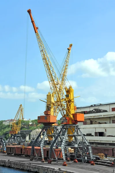 Port cargo crane and train — Stock Photo, Image