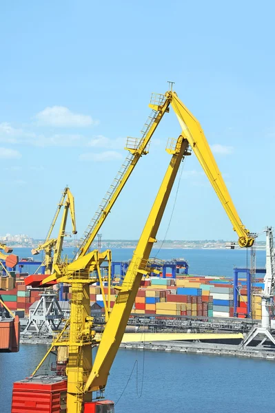 Port cargo crane and container — Stock Photo, Image