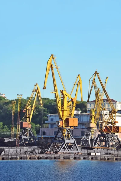 Grue à cargaison portuaire — Photo