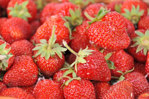 Fragola — Foto Stock