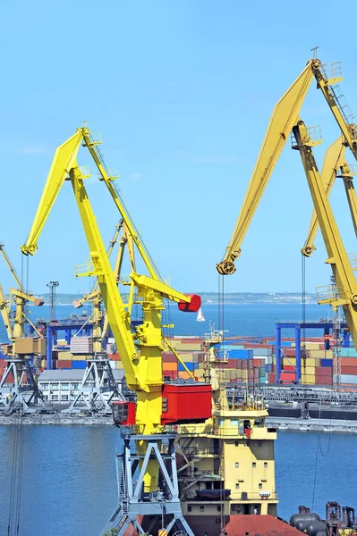 Port cargo crane and container — Stock Photo, Image