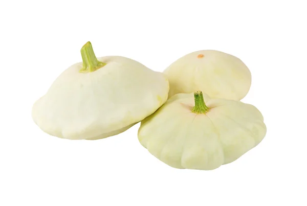 Jakobsmuschel-Pudding-Kürbis (cucurbita pepo var. patisson) — Stockfoto