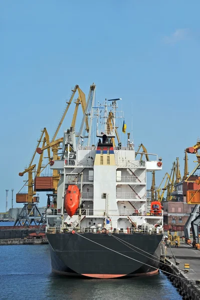 Bulk cargo ship under port crane — Stock Photo, Image