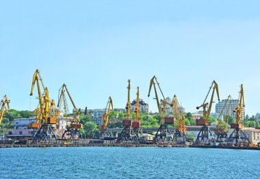 bağlantı noktası kargo vinç