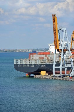 Kargo vinç ve konteyner gemisi