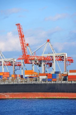 Kargo vinç ve konteyner gemisi