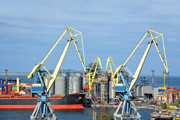 Bulk cargo ship under port crane
