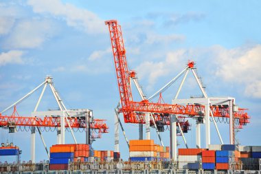 Kargo vinç ve konteyner gemisi