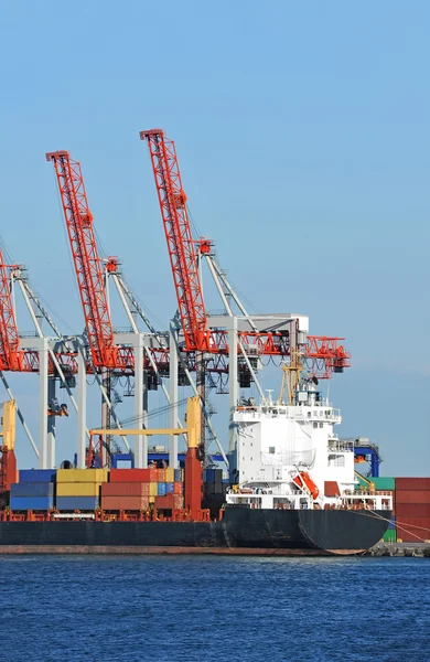 Cargo crane and container ship — Stock Photo, Image