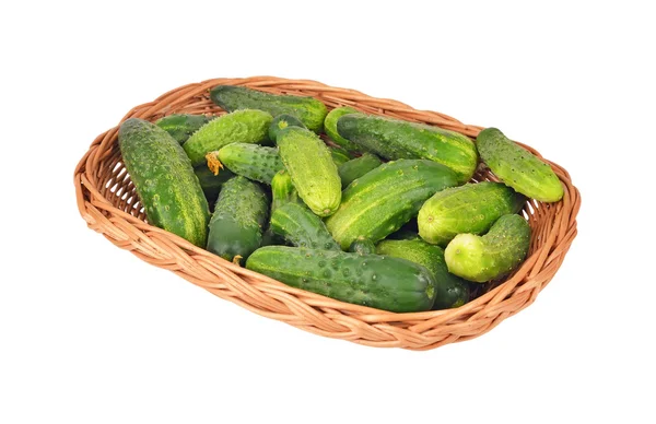 Cornichon de concombre dans un panier ondulé — Photo