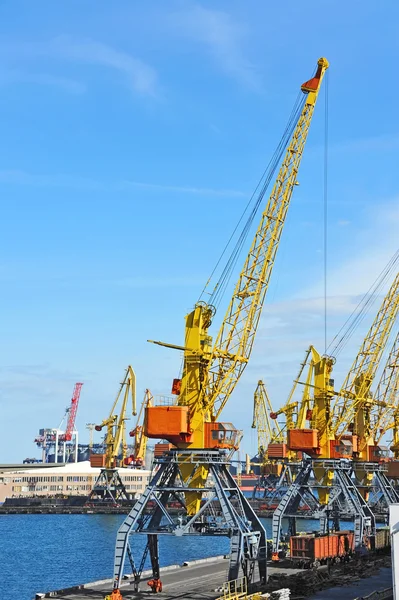 Grue à cargaison portuaire — Photo