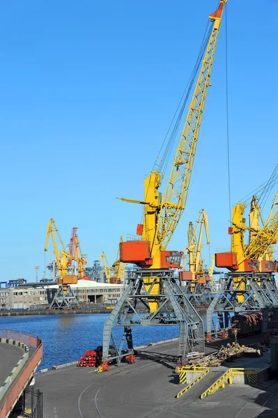 Grue à cargaison portuaire — Photo