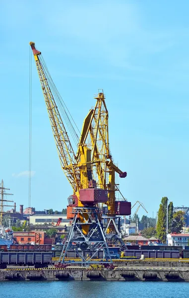 Grue et train de marchandises — Photo