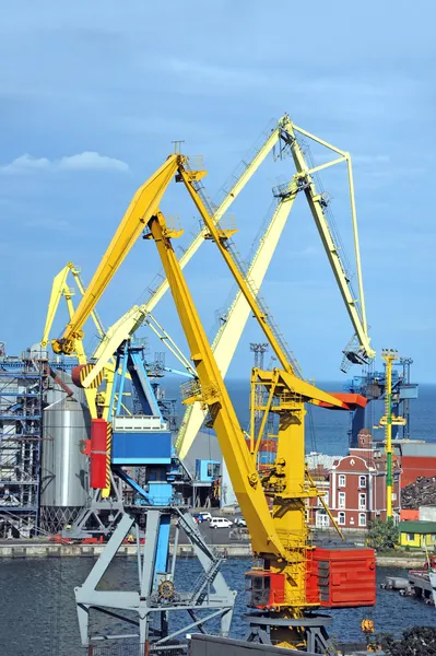 Grue à cargaison portuaire — Photo