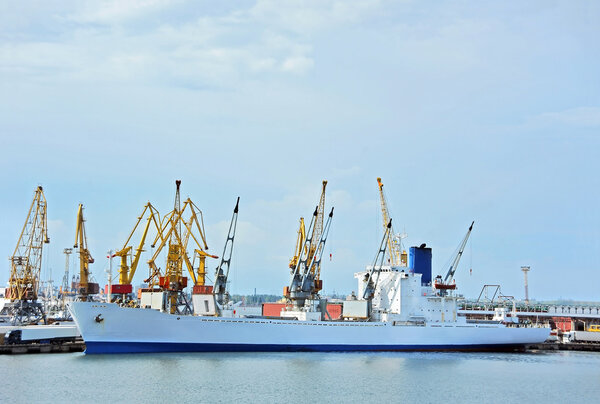 Bulk cargo ship under port crane