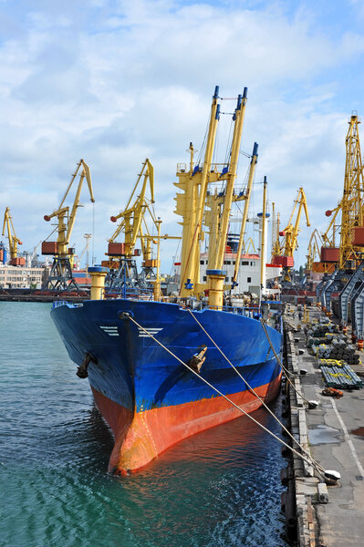 Bulk cargo ship under port crane