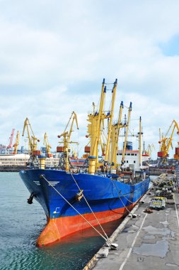 toplu yük gemisi liman vinç altında