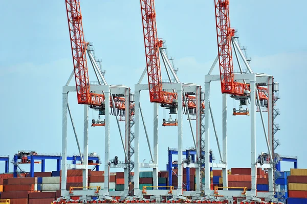 Port cargo crane — Stock Photo, Image