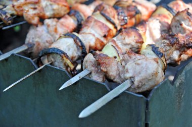 şiş kebap, dof