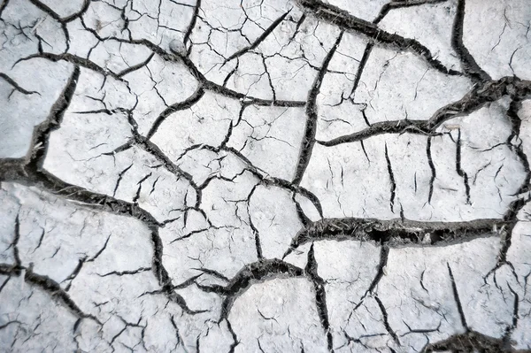 Cracked soil after drought — Stock Photo, Image