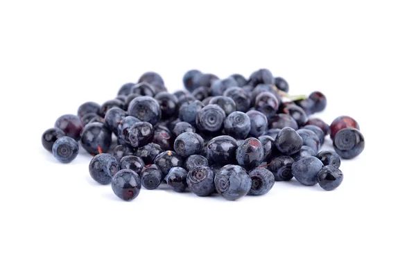 Blueberry — Stock Photo, Image