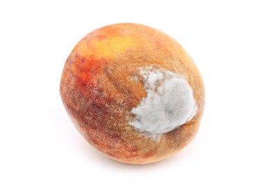 Olgun şeftali kalıp, beyaz arka plan üzerinde izole