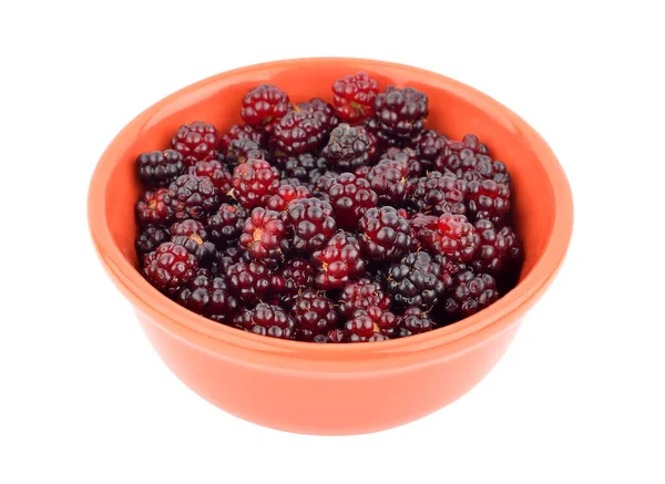 Blackberry Rubus Миске Изолированная Белом Фоне — стоковое фото
