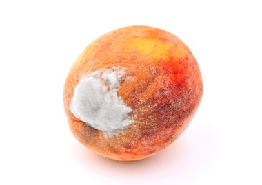 Olgun şeftali kalıp, beyaz arka plan üzerinde izole