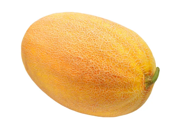 Melon Cantaloup Entier Isolé Sur Fond Blanc — Photo