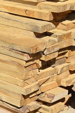 İnşaat alanında istiflenmiş çam ağacı kirişi.
