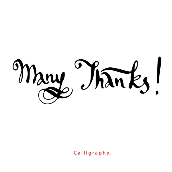 Many Thanks! Calligraphy — Stock Vector