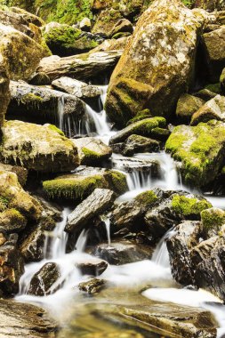 Taşlar arasında dağ küçük nehir akar