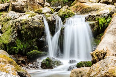 güneşli bir yaz günü iyi falls