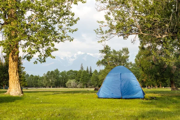 Camping i skogen i solig dag — Stockfoto