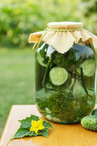 Pickles. Salted Cucumbers still-life